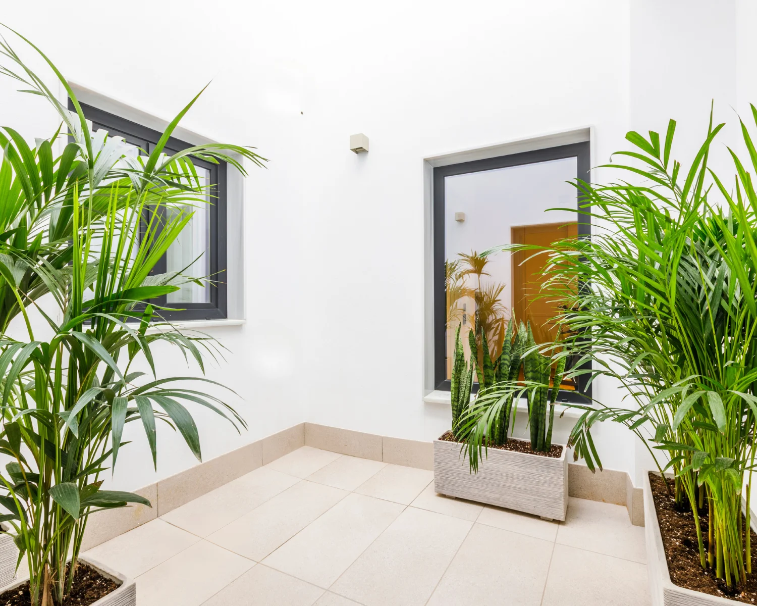 Vista lateral del patio de la sala